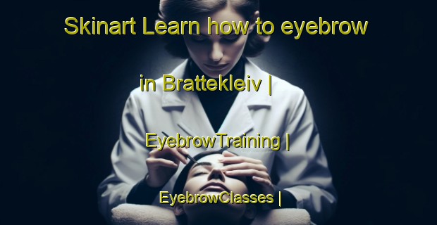 Skinart Learn how to eyebrow in Brattekleiv | EyebrowTraining | EyebrowClasses | SkinartTraining-Norway